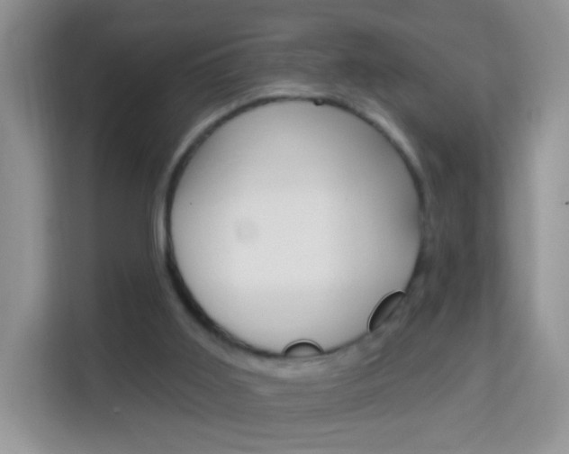 X0000114210011200910091038