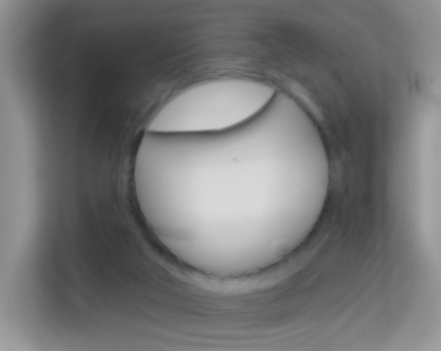 X0000114210018200910091038