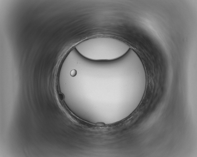 X0000114210049200910091037