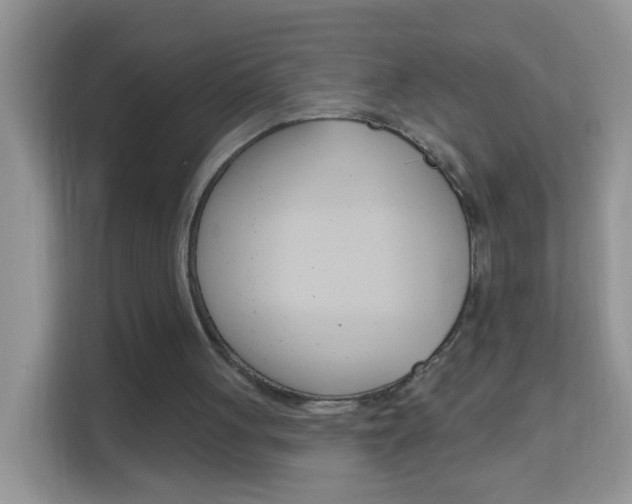X0000114210051200910091037