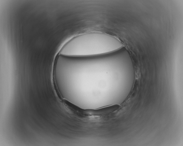 X0000114210052200910091037