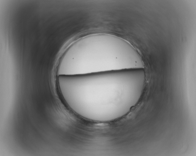 X0000114210053200910091037