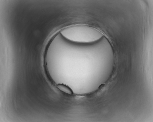 X0000114210055200910091037