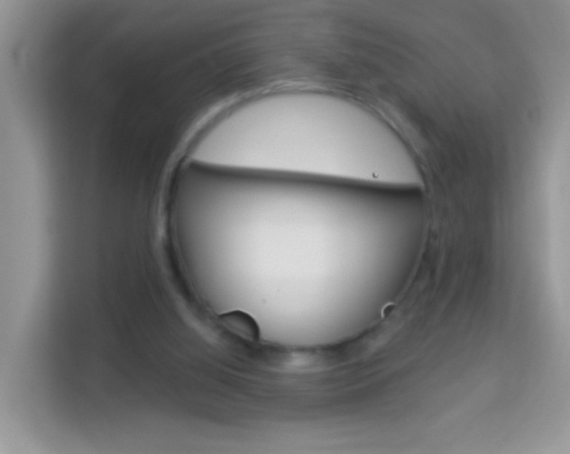 X0000114210060200910091037