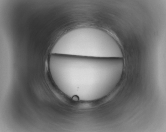 X0000114210061200910091037