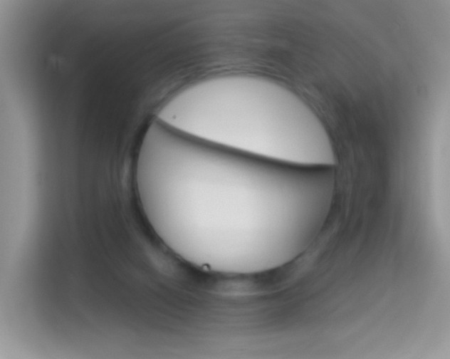 X0000114210066200910091037