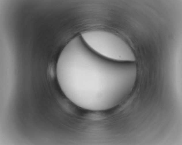 X0000114210069200910091037