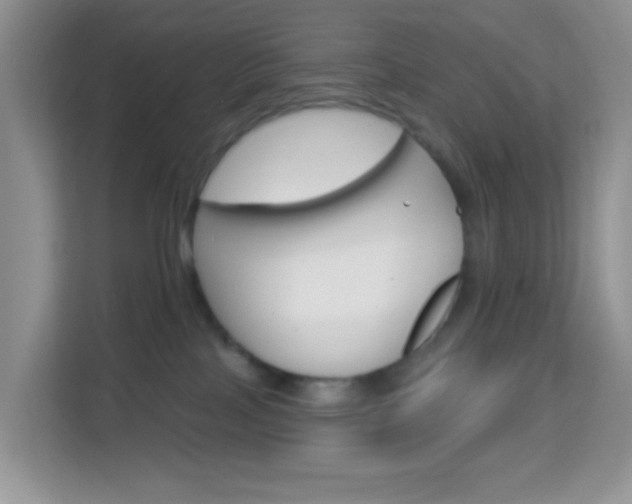 X0000114210089200910091037