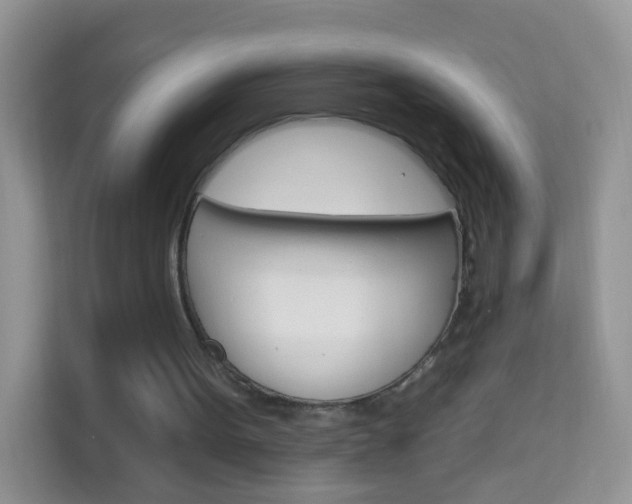X0000114210099200910091037