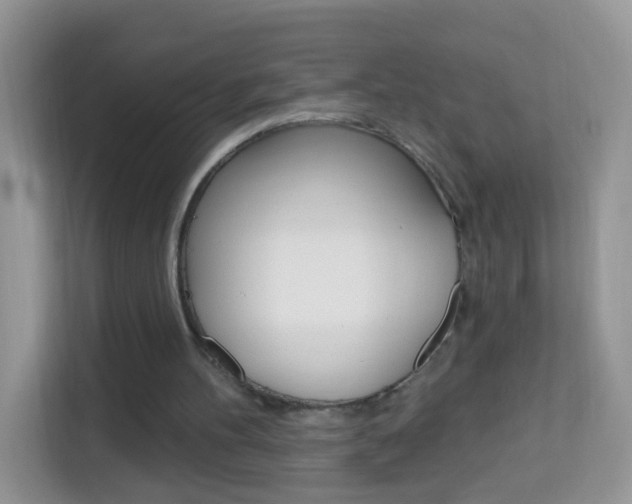 X0000114210100200910091037