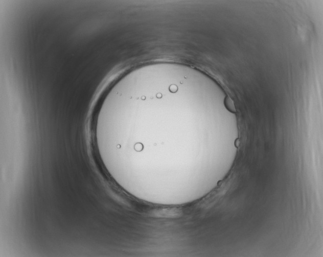 X0000114210102200910091037