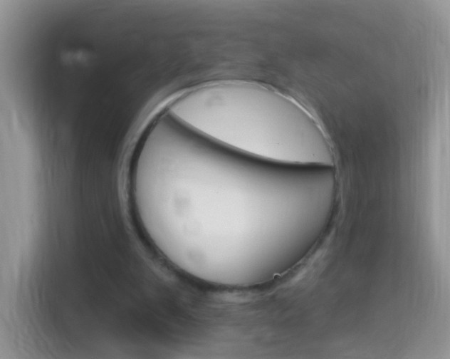 X0000114210103200910091037