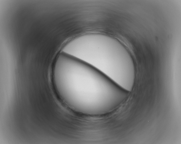 X0000114210107200910091036