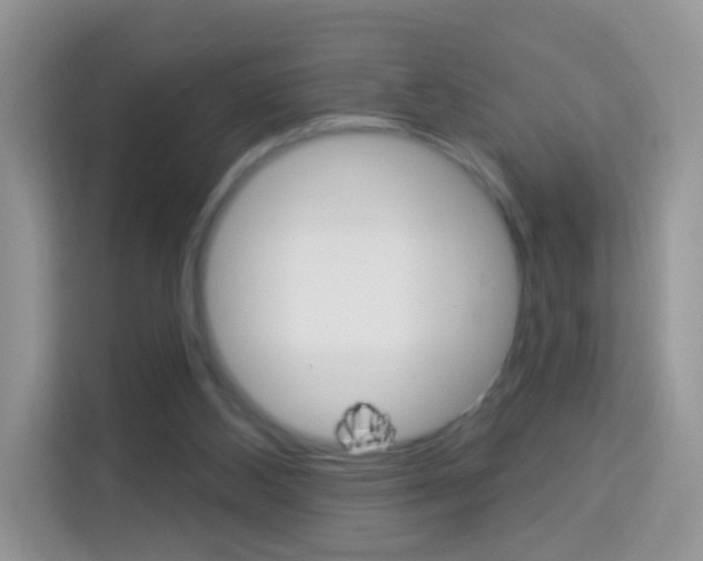 X0000114210108200910091036