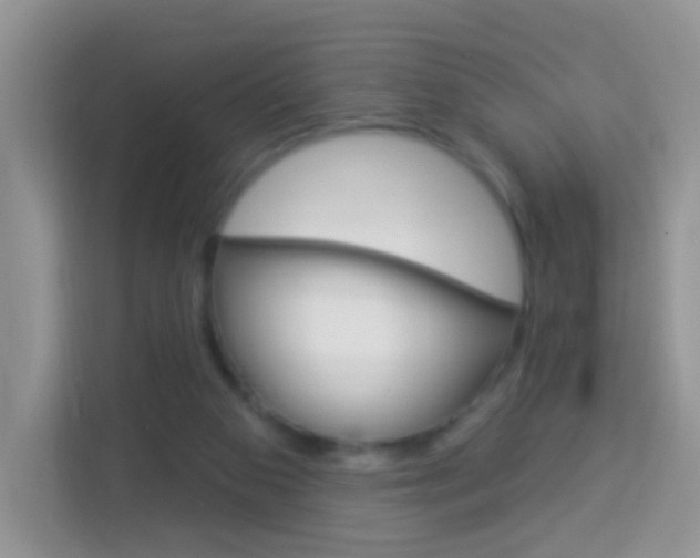 X0000114210113200910091036