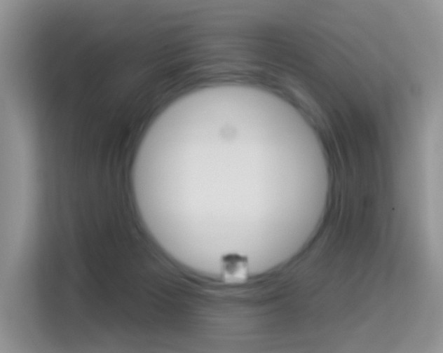 X0000114210125200910091036