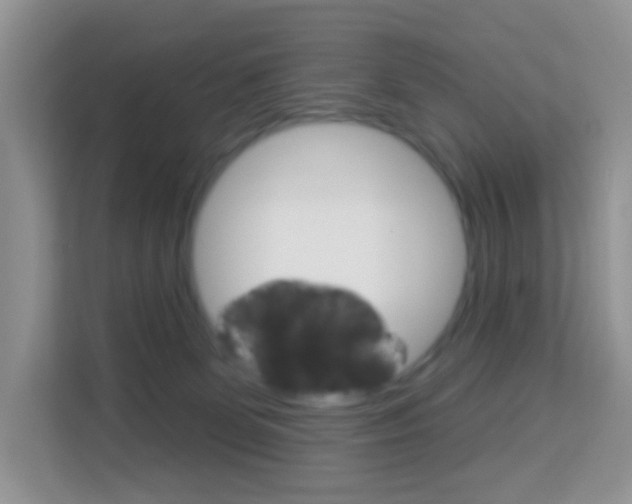 X0000114210131200910091036