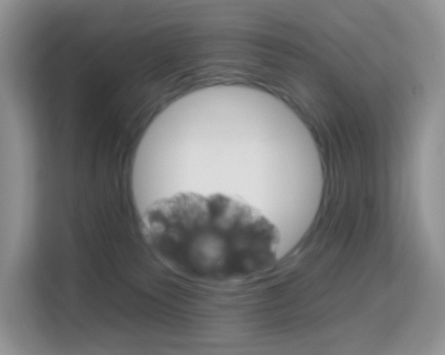 X0000114210135200910091036