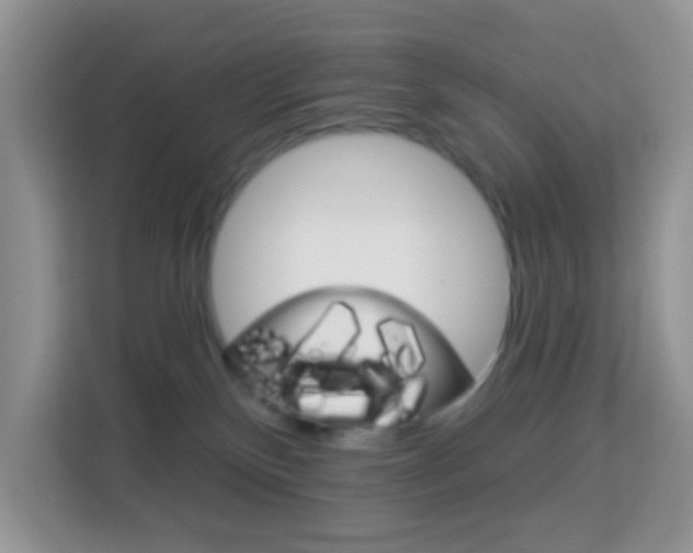 X0000114210136200910091036