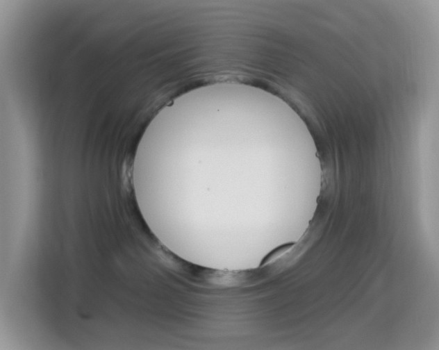 X0000114210142200910091036
