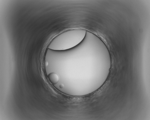 X0000114210145200910091035