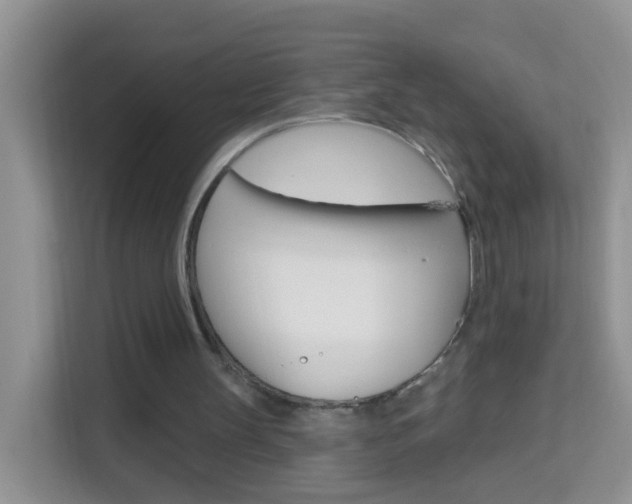 X0000114210147200910091035