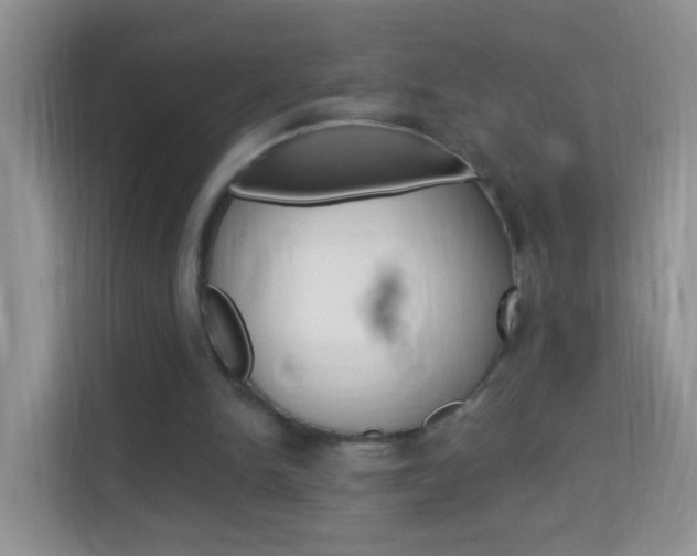 X0000114210150200910091035