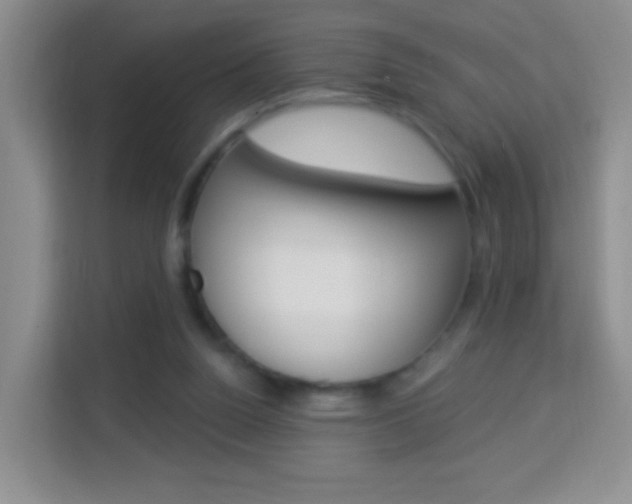 X0000114210160200910091036