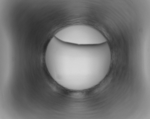 X0000114210161200910091036