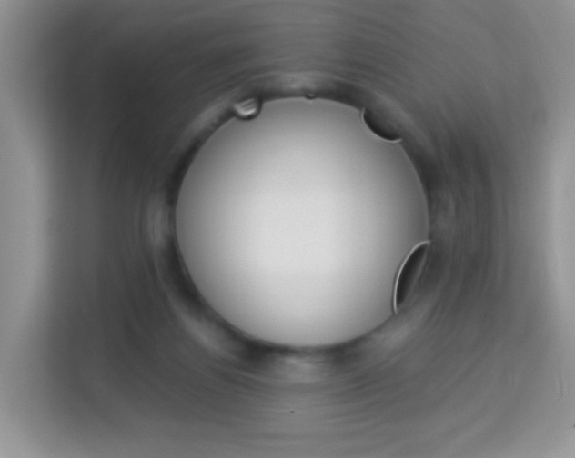 X0000114210164200910091036