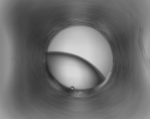 X0000114210174200910091036