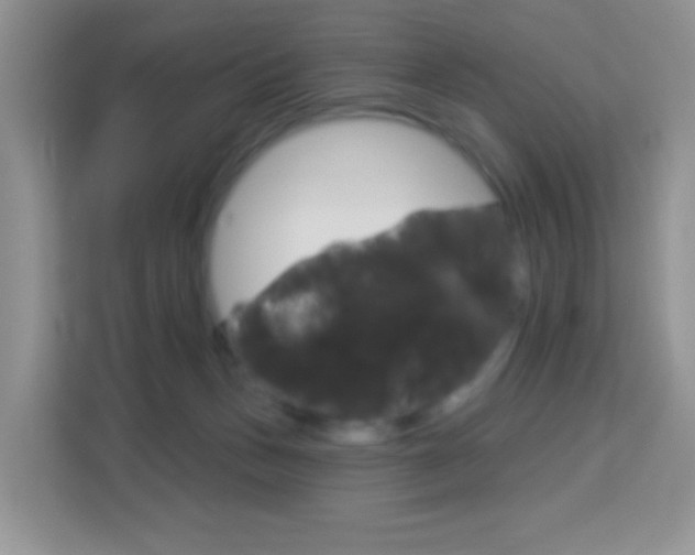 X0000114210175200910091036