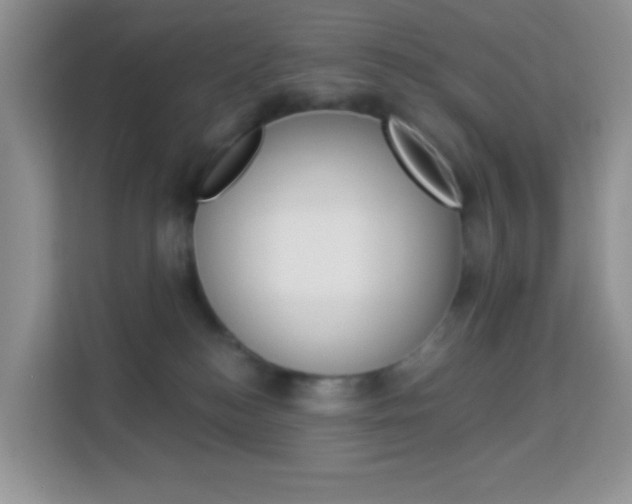 X0000114210184200910091036