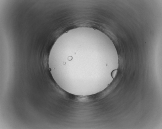X0000114210189200910091036