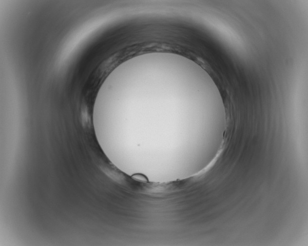 X0000114210191200910091036
