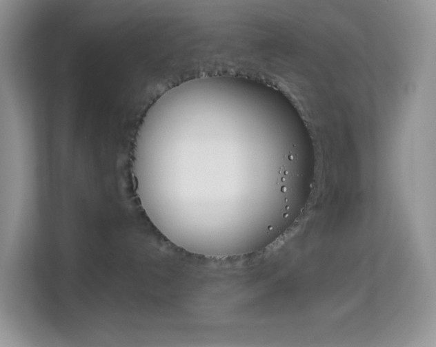X0000114210192200910091036