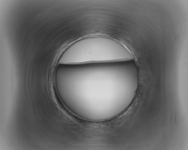 X0000114210193200910091035