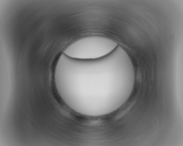 X0000114210206200910091035