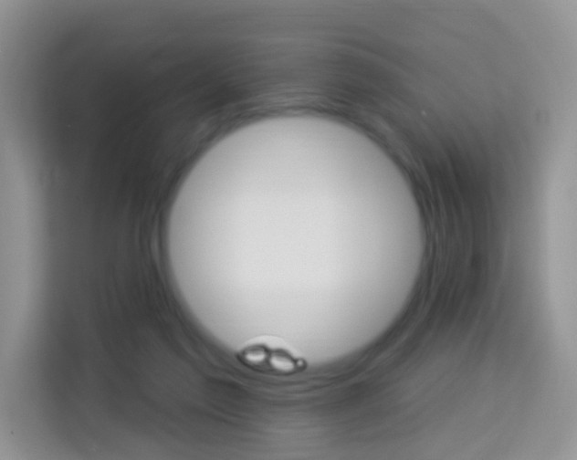 X0000114210213200910091035