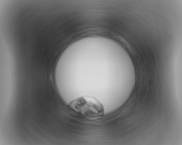 X0000114210217200910091035