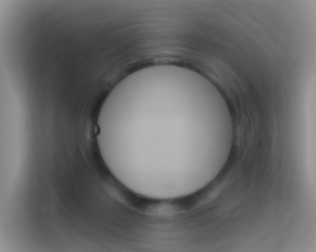 X0000114210219200910091035