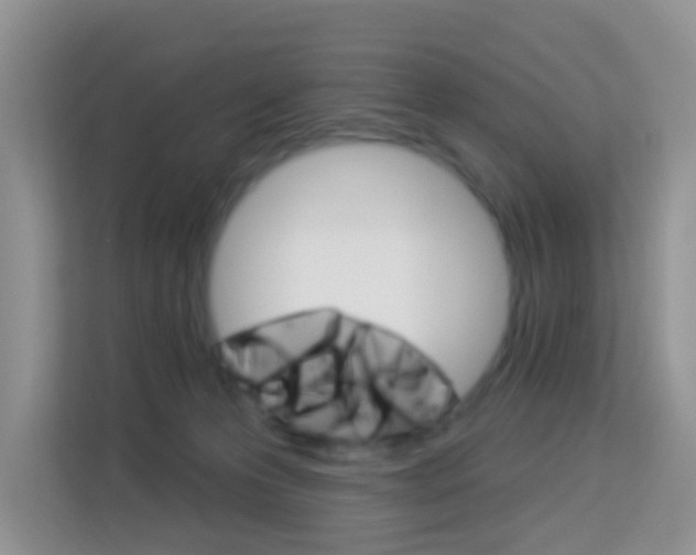 X0000114210223200910091035