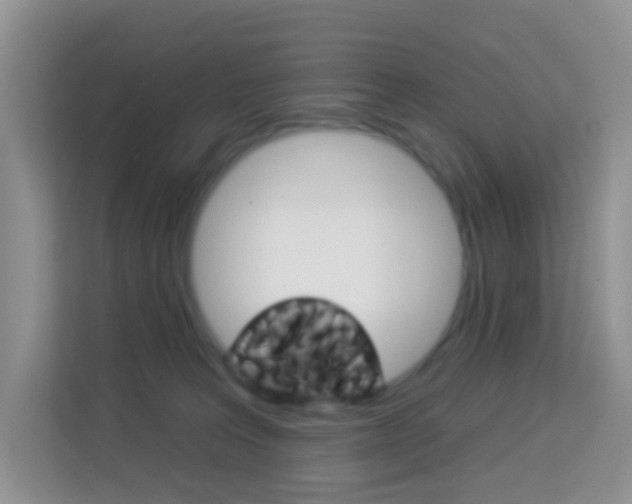 X0000114210227200910091035