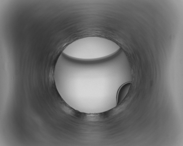 X0000114210240200910091035