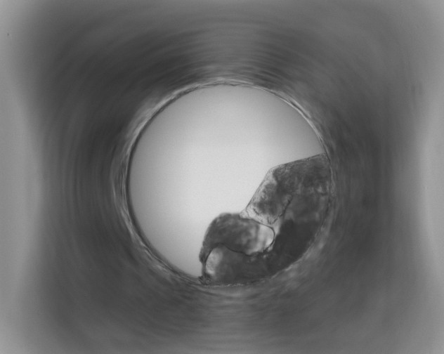 X0000114210241200910091034