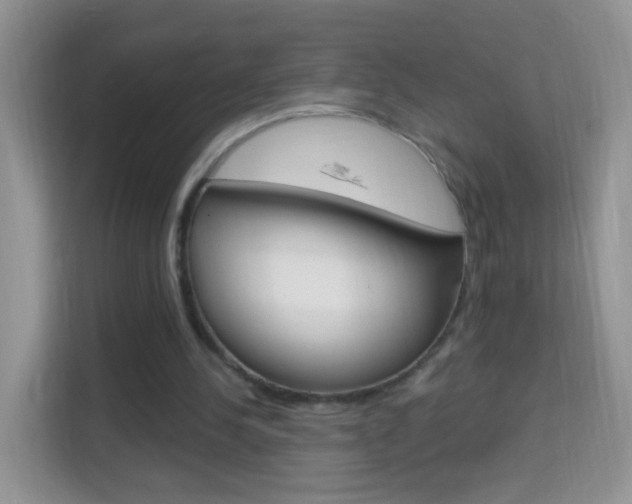 X0000114210244200910091034
