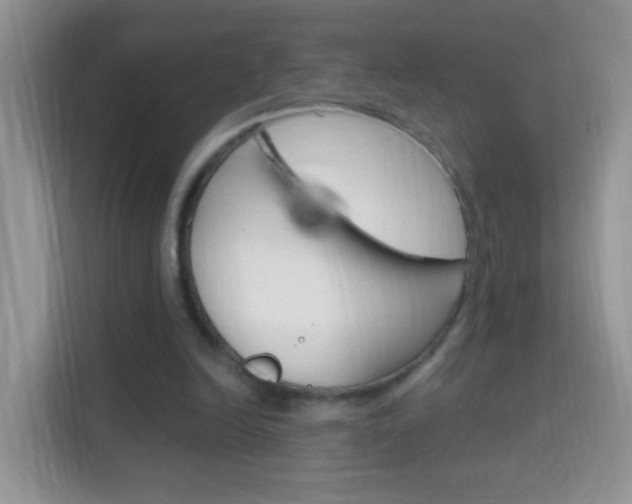 X0000114210246200910091034