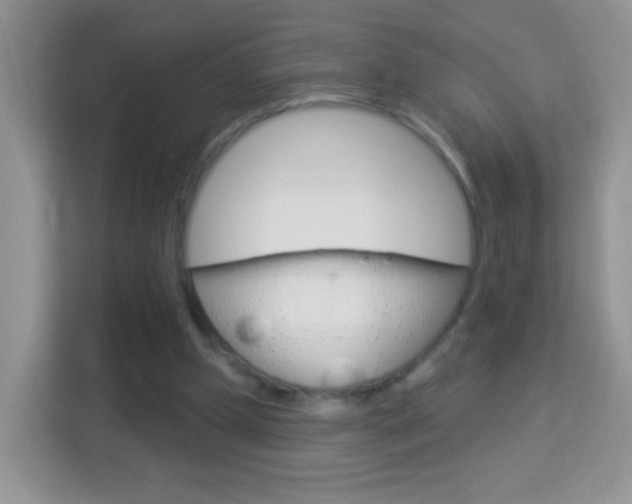 X0000114210249200910091034