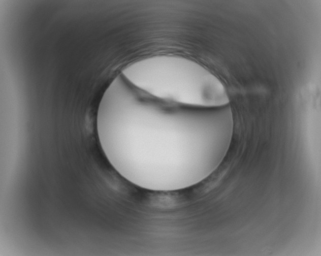 X0000114210282200910091035