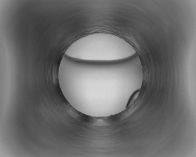 X0000114210285200910091035